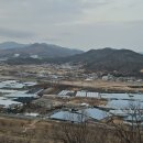 염동4 Daum카페