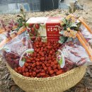 대추농장 이미지