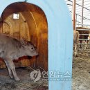 이강섭축사 연합뉴스