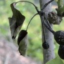 김포시농업기술센터 이미지