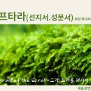 51-52주(9/1-화)＜하프타라＞-"니짜빔(너희가 서있다)(이사야61:10~63:9)-(선지서.성문서읽기와 해석) 이미지