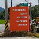 블루25 진성 이미지