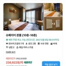 도미인 서울 강남 | 강남 호캉스 가성비 호텔 추천, 도미인 서울 강남 슈페리어 퀸 주차 사우나 스파 후기