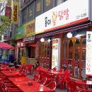 홍이 Daum카페