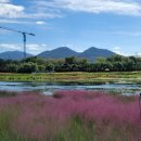 황룡강변 이미지