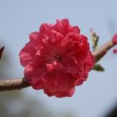 덕풍황토방 이미지