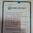 딱딱이 성백도 GAP우수농산물인증 아삭아삭 맛있는 복숭아 판매합니다 이미지