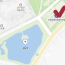 서부간선로 교통섬 | 대구 드라이브 코스 성당못 야경 야간 산책하기 좋은 곳 추천