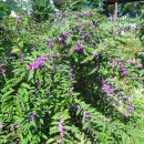 토종농장 이미지