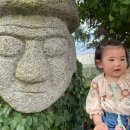 태권농장 | 제주 서귀포카페 레몬뮤지엄 레몬농장카페 제주투어패스권 찐레몬아이스티 아메리카노커피