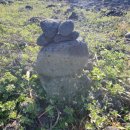 온평리-9 이미지