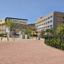 신남초등학교 | 2025.06.11 신남초등학교 진로 체험 거리 활동 보조 - 맛있는 음식도 강사는 먹을 수 없었던 슬픈 현실...