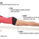 더 리얼 피티 이미지