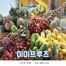 세번째 계절 | 나트랑 과일가게 미미프루츠 배달 포장 세 번째 망고 맛집 이용 후기