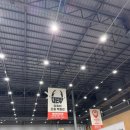 올스본코리아 수원권선점 | [경기도 수원] 메쎄 코리아 렙타일 포럼 후기 - 도마뱀 초보집사라면 꼭 가봐야 할 박람회