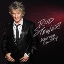 You're In My Heart - Rod Stewart 이미지