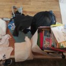 논공중앙로 이미지