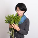 핫테라피 이미지