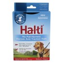 주식회사 퍼스트무버 이미지