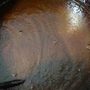 백초(여) 이미지