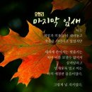 마지막 잎새같은 가을 낙옆이 하나 달려있습니다. 이미지