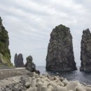 (주)울릉도여행사