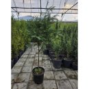 대수농장 이미지