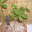 동의중학교 이미지