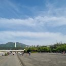 로잉프로