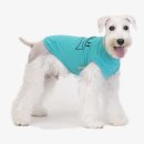 민트파파 이미지