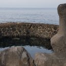 올라비양 이미지