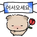 강남고속터미널만물상