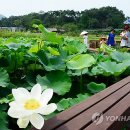 다도예절+꽃차 만들기 이미지