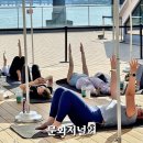 바디리셋