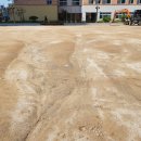 인천새봄초등학교 이미지