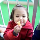 보성다비치콘도 이미지