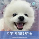 행신동물의료센터 이미지