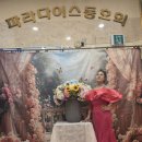 봄날 댄스 파티 여왕처럼 이미지