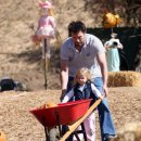 호박농장 이미지