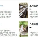비스타건축사사무소