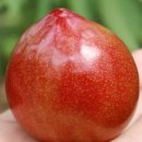 개울농장 이미지