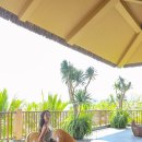 뉴월드카써비스 이미지