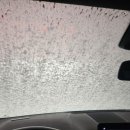 정지뜰스크린 이미지