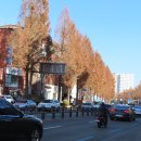 우장산둘레길 이미지