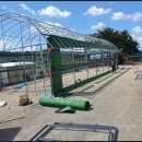 태광염소 이미지