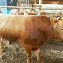 비호축산 이미지