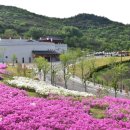 화랑센타 이미지