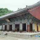 수도암조계종 Daum카페
