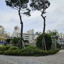 평촌어바인퍼스트 1~2단지 사이 오른쪽 | 숲속 같은 대단지 아파트, 평촌어바인퍼스트 임장기
