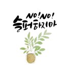 마시코코 이미지